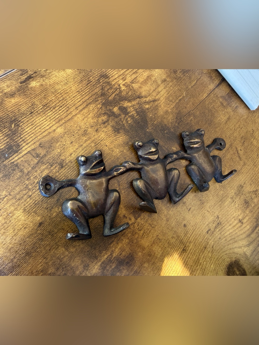 Cast Iron Bronze Frog Trio Wall Hook - Decorative Home Wall Decor